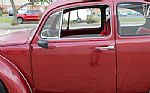 1966 Beetle Thumbnail 36