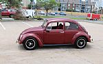 1966 Beetle Thumbnail 48