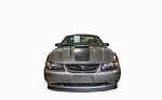 2004 Mach 1 40th Anniversary Editio Thumbnail 4