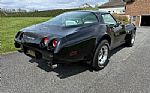 1979 Corvette Thumbnail 19