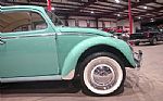 1962 Beetle Thumbnail 11