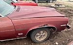 1973 Grand AM Thumbnail 6