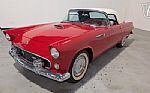 1955 Thunderbird Thumbnail 2