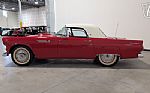 1955 Thunderbird Thumbnail 6