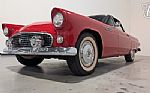 1955 Thunderbird Thumbnail 4