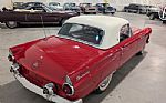 1955 Thunderbird Thumbnail 14