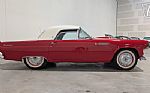 1955 Thunderbird Thumbnail 18