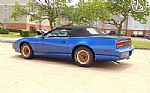 1991 Firebird Thumbnail 30