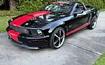 2008 Mustang Shelby GT Thumbnail 5