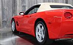 1998 Corvette Thumbnail 9