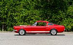 1966 Shelby GT350 Thumbnail 2