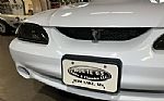 1996 Mustang SVT Cobra Thumbnail 11