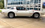 1979 Firebird Thumbnail 5