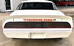 1979 Firebird Thumbnail 7