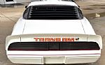 1979 Firebird Thumbnail 8