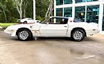 1979 Firebird Thumbnail 10