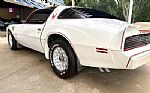 1979 Firebird Thumbnail 15