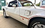 1979 Firebird Thumbnail 18