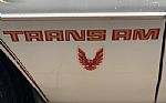 1979 Firebird Thumbnail 22