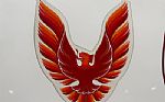 1979 Firebird Thumbnail 20