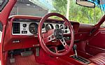 1979 Firebird Thumbnail 25