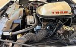 1979 Firebird Thumbnail 42