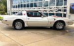 1979 Firebird Thumbnail 5