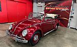 1964 Beetle Convertible Thumbnail 26