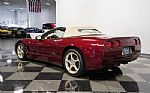 2003 Corvette Convertible 50th Anni Thumbnail 10