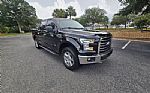 2016 F-150 Thumbnail 2