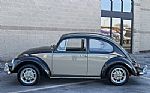 1966 Beetle Thumbnail 3