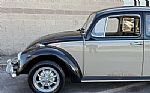 1966 Beetle Thumbnail 29