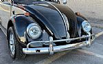 1966 Beetle Thumbnail 42