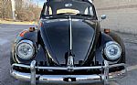 1966 Beetle Thumbnail 47