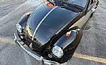 1966 Beetle Thumbnail 49
