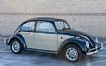 1966 Beetle Thumbnail 59