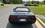 1991 Corvette Thumbnail 6