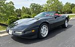 1991 Corvette Thumbnail 15