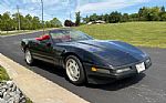 1991 Corvette Thumbnail 13