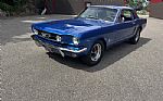 1964 Mustang Thumbnail 13
