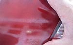 2010 Gold Wing Thumbnail 50