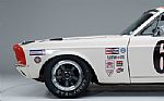 1967 Mustang Shelby Group II Racecar Thumbnail 14