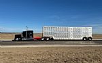 2019 W900L Thumbnail 4