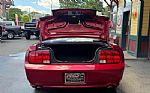 2006 Mustang Thumbnail 16