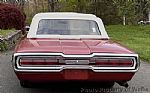 1966 Thunderbird Roadster Thumbnail 5