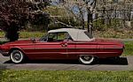1966 Thunderbird Roadster Thumbnail 19