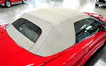 2002 Trans Am WS6 Convertible Thumbnail 50