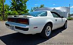 1987 Firebird Thumbnail 4