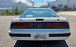 1987 Firebird Thumbnail 6