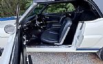 1965 Mustang Shelby GT350 Tribute Thumbnail 17